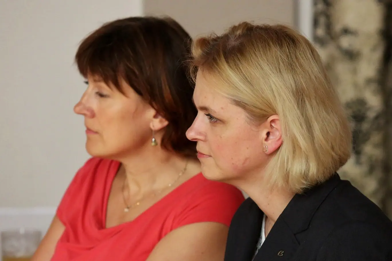 Političky si předávaly zkušenosti — foto 10